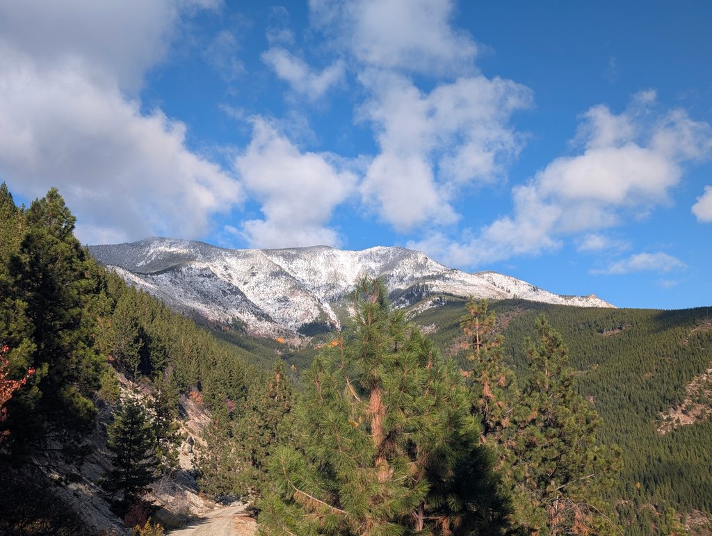 Mountain landscape with snow peak, evergreen trees, and a dirt road in the foreground